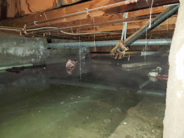 Best Sewage cleanup and water damage restoration  in Redland, TX