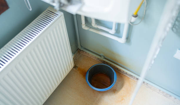 Best Local water damage restoration  in Redland, TX