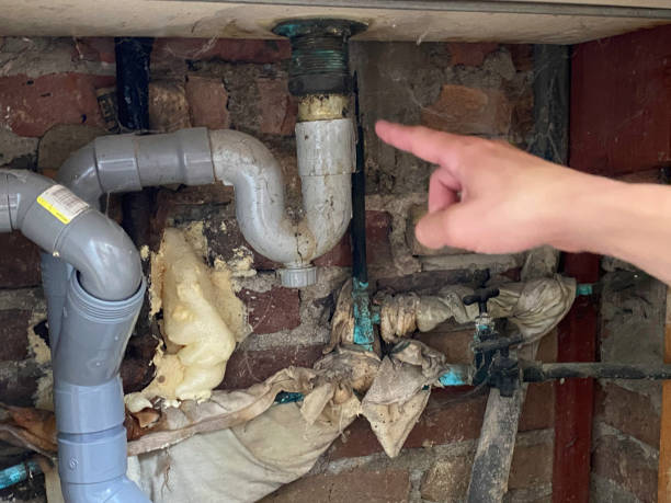 Best Local water damage restoration  in Redland, TX