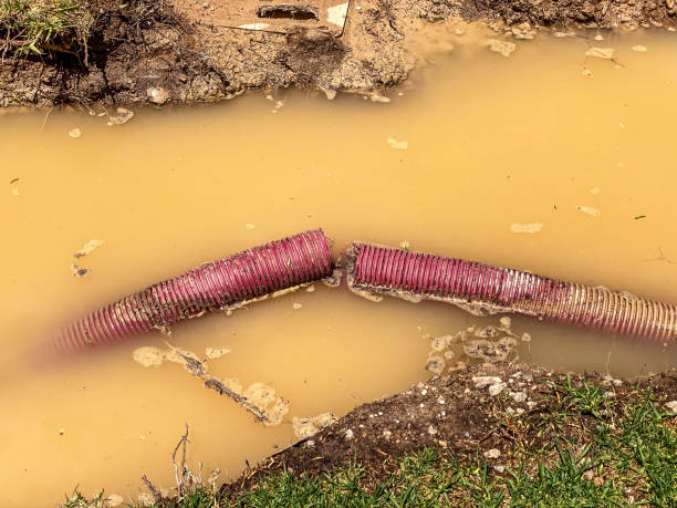 Best Water damage contractors near me  in Redland, TX