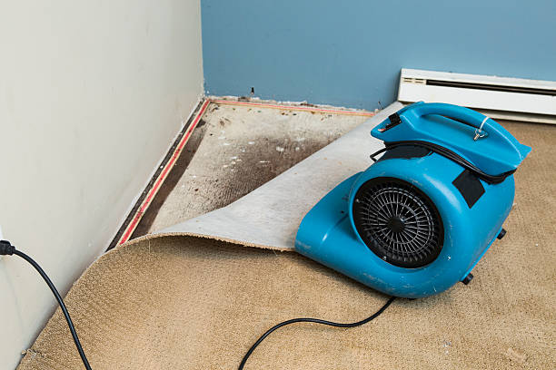 Best Water damage restoration services  in Redland, TX